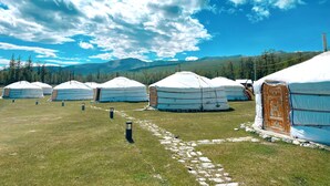 Yurtas en un campo de césped con montañas al fondo.