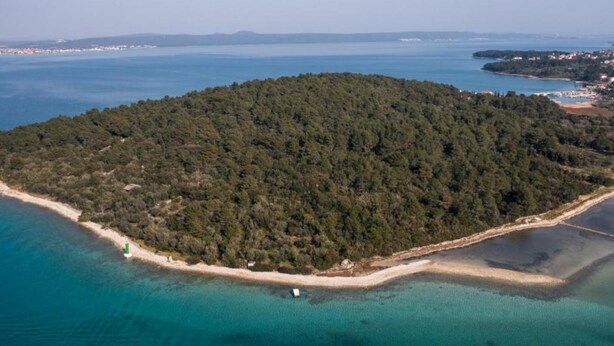 An aerial view of a small, densely forested island with a sandy beach and clear blue waters.