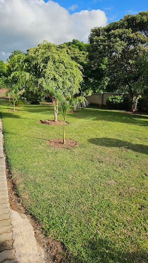 Property grounds - Maphosa  (Harare)