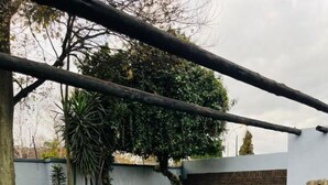 Un espace extérieur aménagé avec une surface pavée, une pelouse verdoyante, un mur blanc et un mur de briques avec une fenêtre.