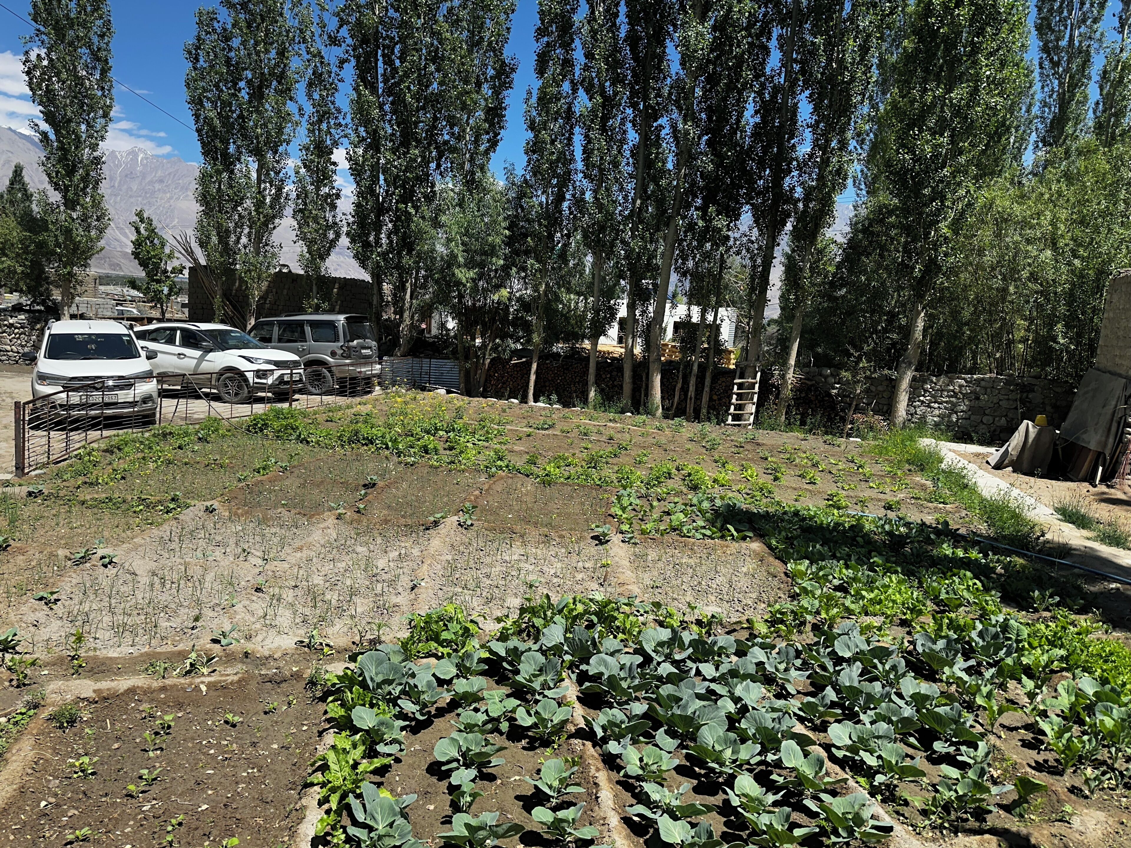 Garden view