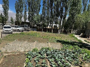 Property grounds - Feroz - HomeStay (Leh)