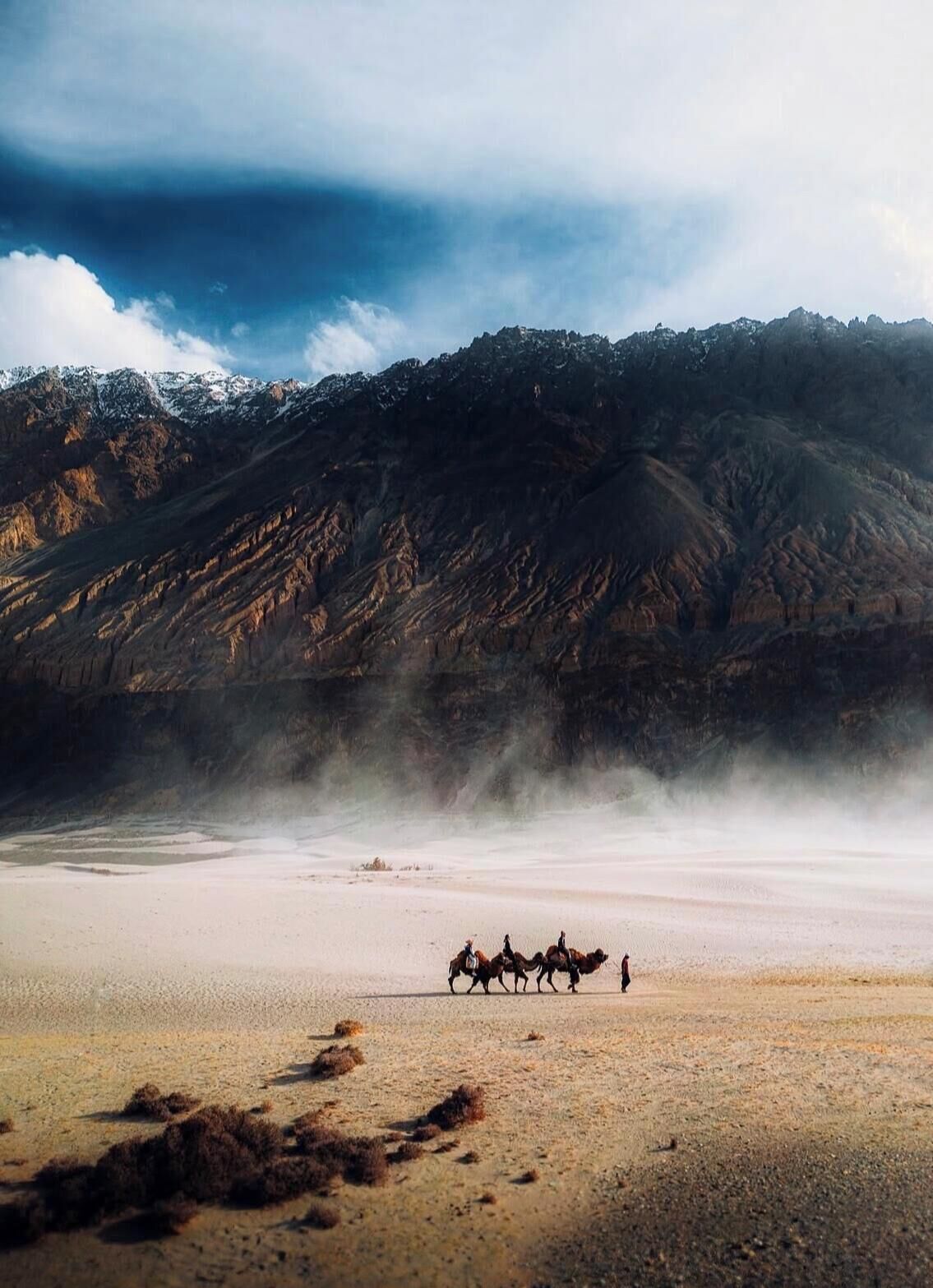 Un grupo de personas a caballo en un paisaje extenso y abierto, con montañas al fondo.