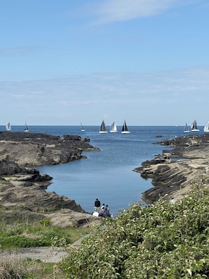 A coastal area with rocky terrain and multiple sailboats on the water.