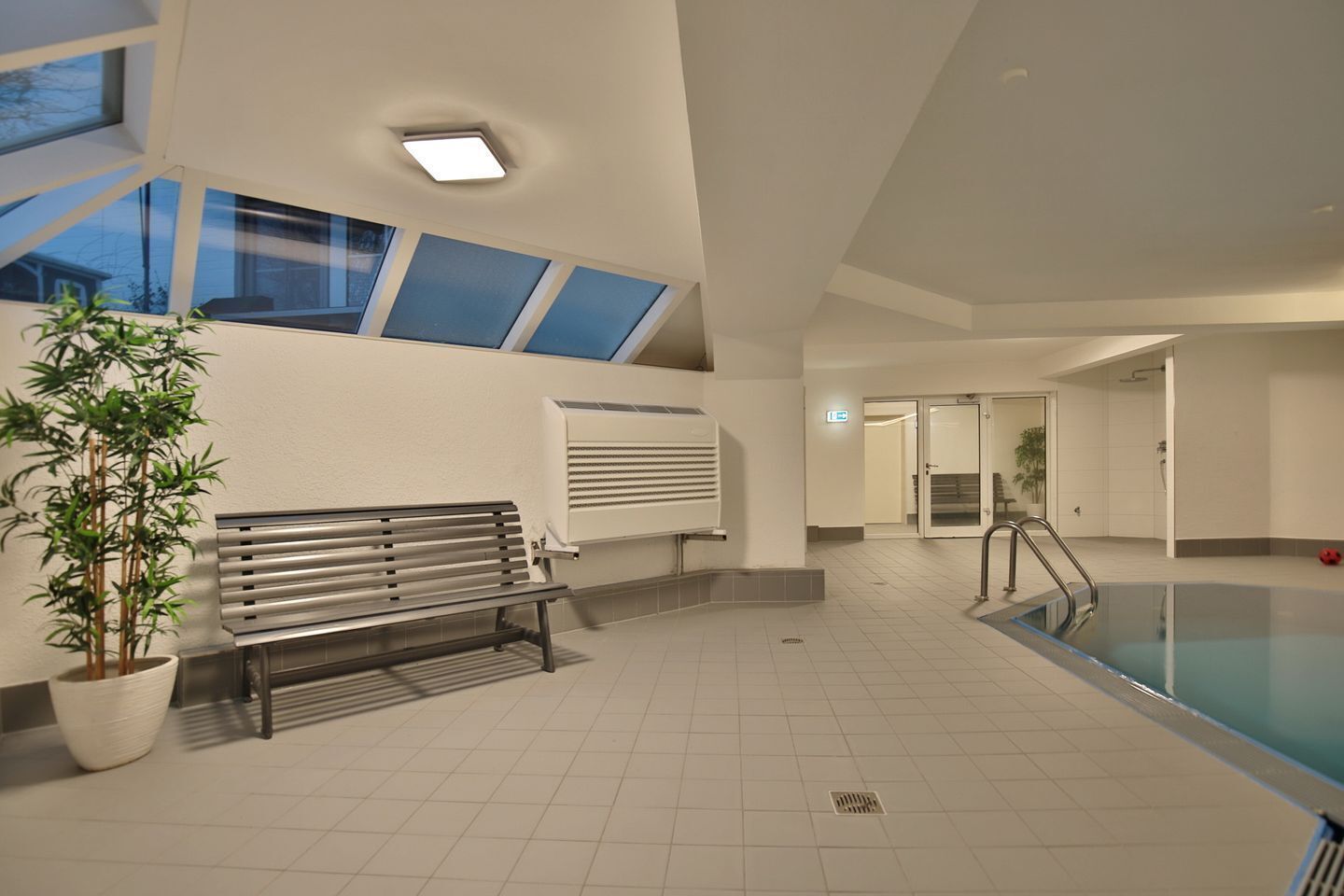 Area piscina interna moderna con una panca, una pianta in vaso e un lucernario.