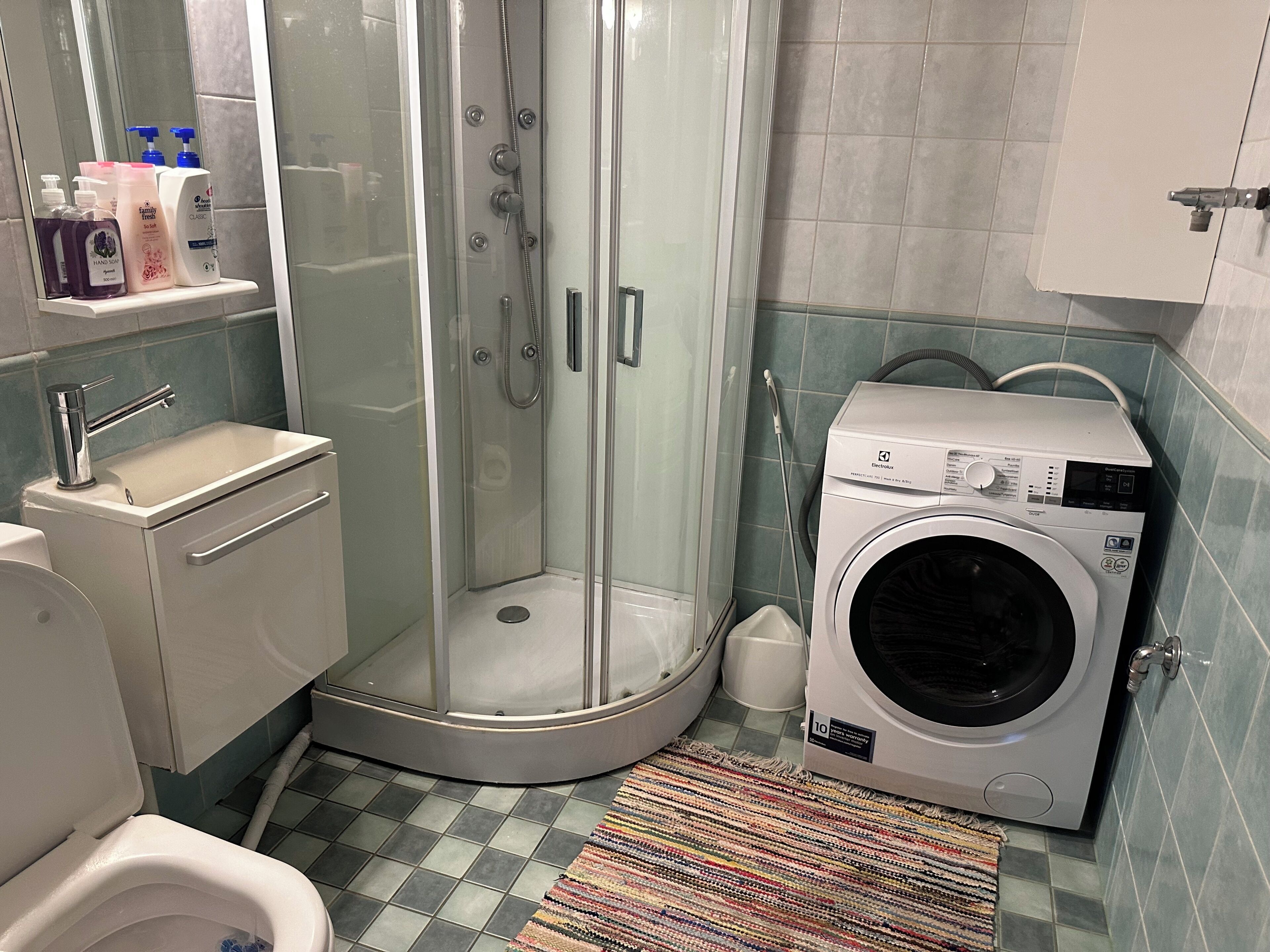Un baño con ducha de vidrio, lavamanos, inodoro y lavadora.