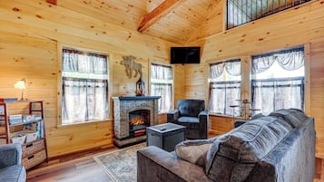 TV, fireplace, books, video library