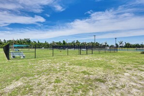 Sportveld