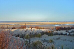 Eine Strandlandschaft mit Dünen und spärlicher Vegetation.