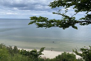 Ein Strand mit klarem Wasser, einem Sandufer und einem Baum im Vordergrund.