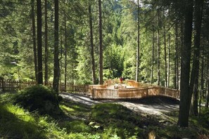 Ein bewaldetes Gebiet mit einer Holzterrasse und einem Picknicktisch.