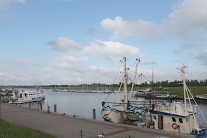 Ein Yachthafen mit vertäuten Booten, einem wolkenlosen Himmel und einer grünen Wiese im Hintergrund.