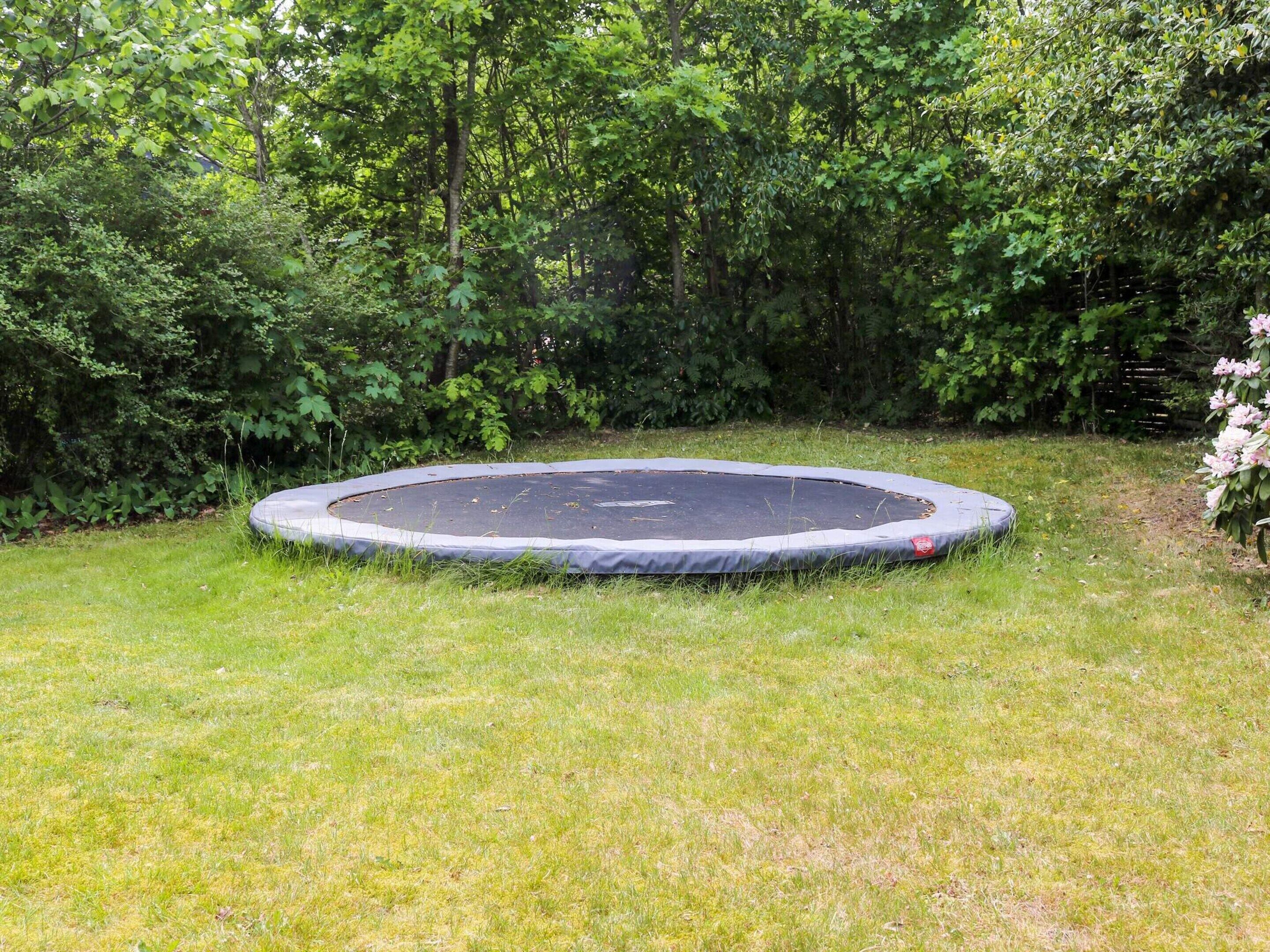 A circular trampoline in a grassy area surrounded by dense foliage.