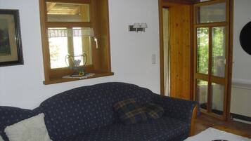 Smart-TV, Kamin