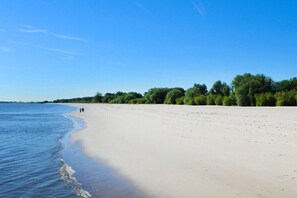Ein Strand mit blauem Himmel, ruhigem Wasser und einer Baumreihe im Hintergrund.