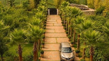 A paved pathway leading to a building with a car parked in front.
