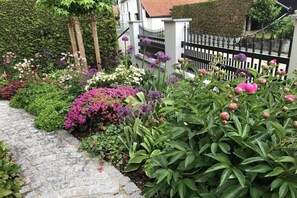 Un jardín con un sendero de piedra, diversas plantas y una valla de metal negro.