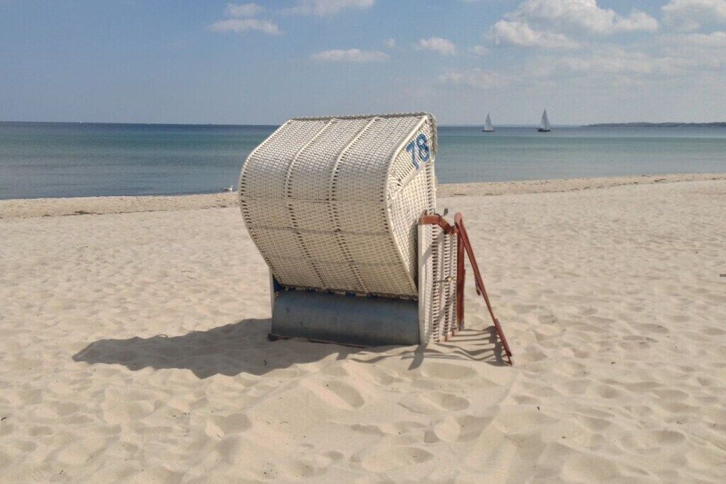 شاطئ
