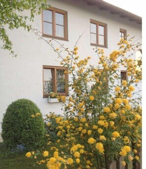 Property grounds - Müller 3 in the house Spring (Aschau im Chiemgau)