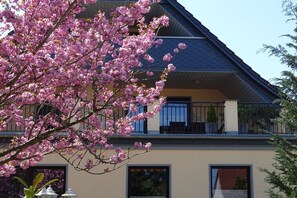 Ein zweistöckiges Gebäude mit Balkon, großen Fenstern und einem Baum mit rosa Blüten vor der Fassade.