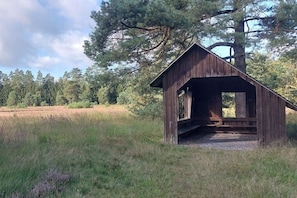Eine Holzhütte mit geneigtem Dach, umgeben von hohen Bäumen und grünen Wiesen.