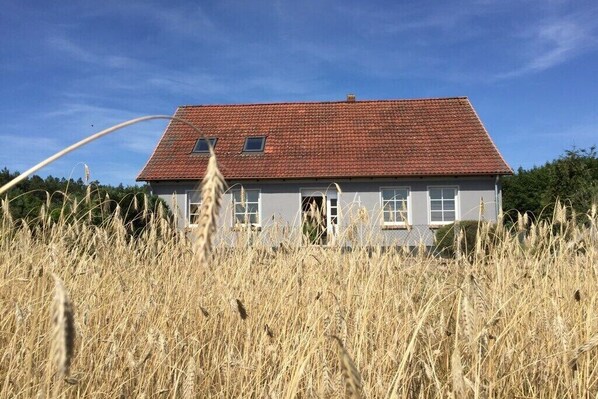Eksteriør