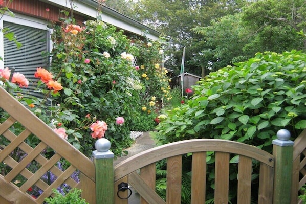 Ein hölzernes Tor führt zu einem Garten mit verschiedenen Pflanzen und Blumen.