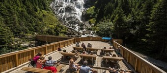 Til Stubai-gletsjeren - skoven