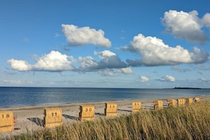 Ein Strand mit nummerierten Holzbarklampen und blauem Himmel.