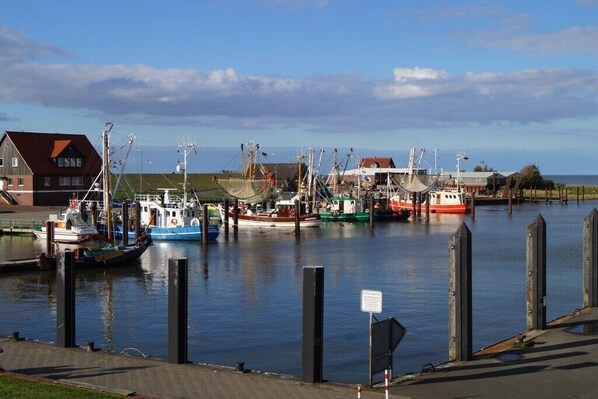 A marina with boats docked, a building with a red roof, and a grassy area. - Holiday home with 1 bedroom (Butjadingen \/ Burhave)