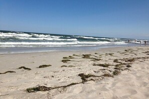 Beach - Holiday home in Zingst with swimming pool (Zingst)