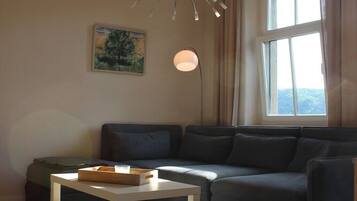 Smart-TV, Kamin, Bücher