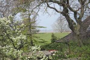Ein Wohngebiet mit einem großen Baum, einer grünen Wiese und einer entfernten Wasserlandschaft.