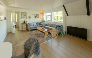 Smart-TV, Kamin