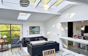 Smart-TV, Kamin