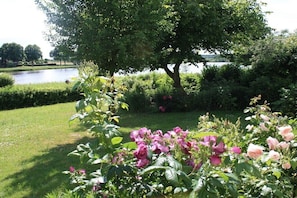Ein Garten mit Teich, üppiger Bepflanzung und rosafarbenen Rosen.