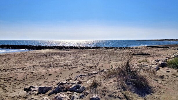 Een strand met een rotsachtige kustlijn en een heldere lucht.