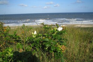 A beach with ocean waves, a sandy shore, and green vegetation. - Holiday home with 1 bedroom (Callantsoog)