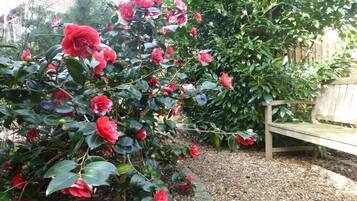 A garden with red flowers and a wooden bench.