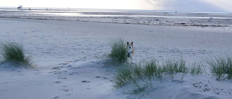 Playa