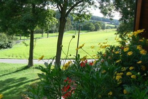 Blick aus einem Fenster auf ein grünes Feld mit Bäumen und Blumen.
