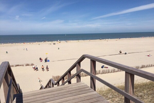 A wooden staircase leading to a sandy beach with a clear sky. - 1A5 Family Moritz Koopman (Petten)