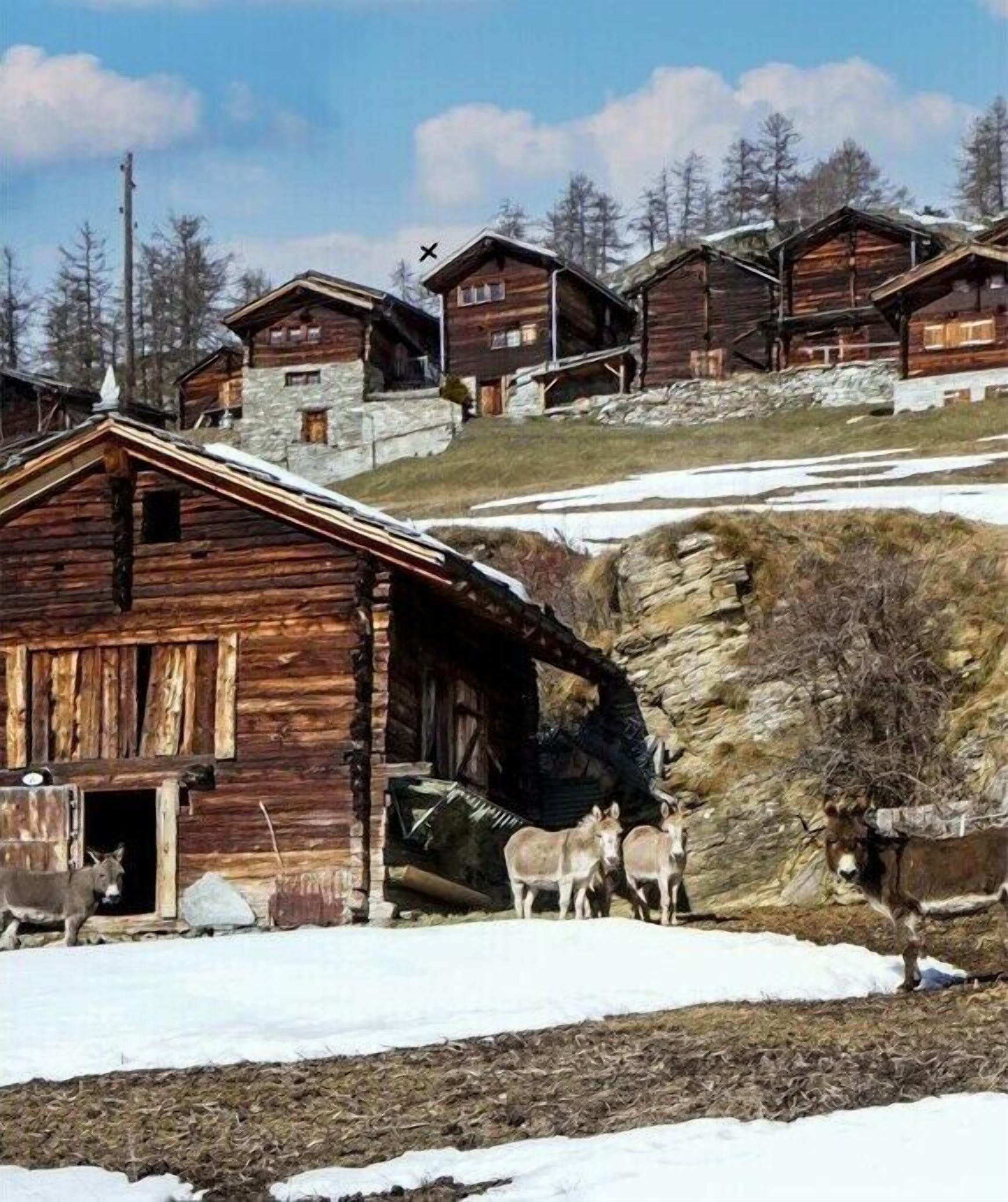 Aussenbereich
