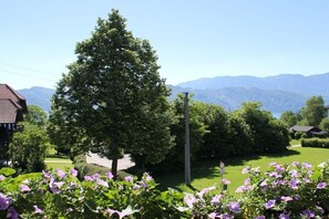 Ein Wohngebiet mit einem großen Baum, einem gepflegten Rasen und Bergen im Hintergrund.