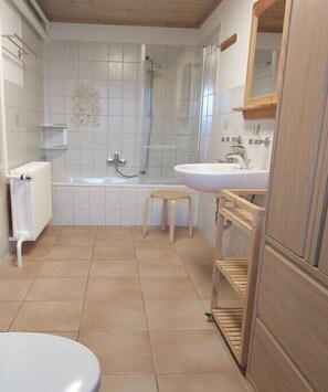 Shower, hair dryer - Holiday apartment with 1 bedroom (Bad Schandau)