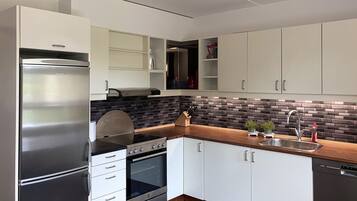Frigorífico, placa de cocina, lavavajillas y utensilios de cocina