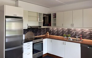 Frigorífico, placa de cocina, lavavajillas y utensilios de cocina