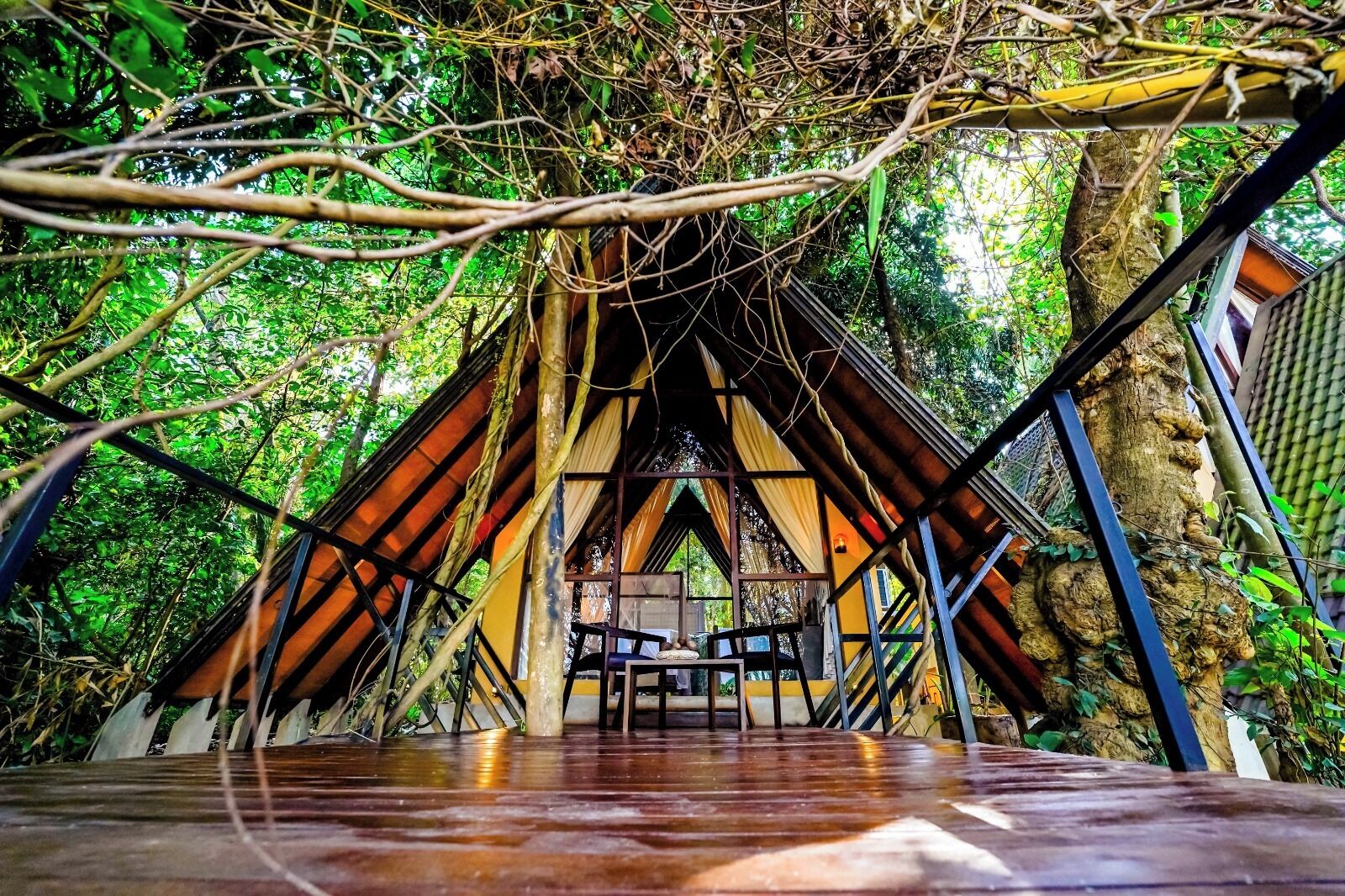 An A-frame structure with a wooden floor, surrounded by dense foliage.