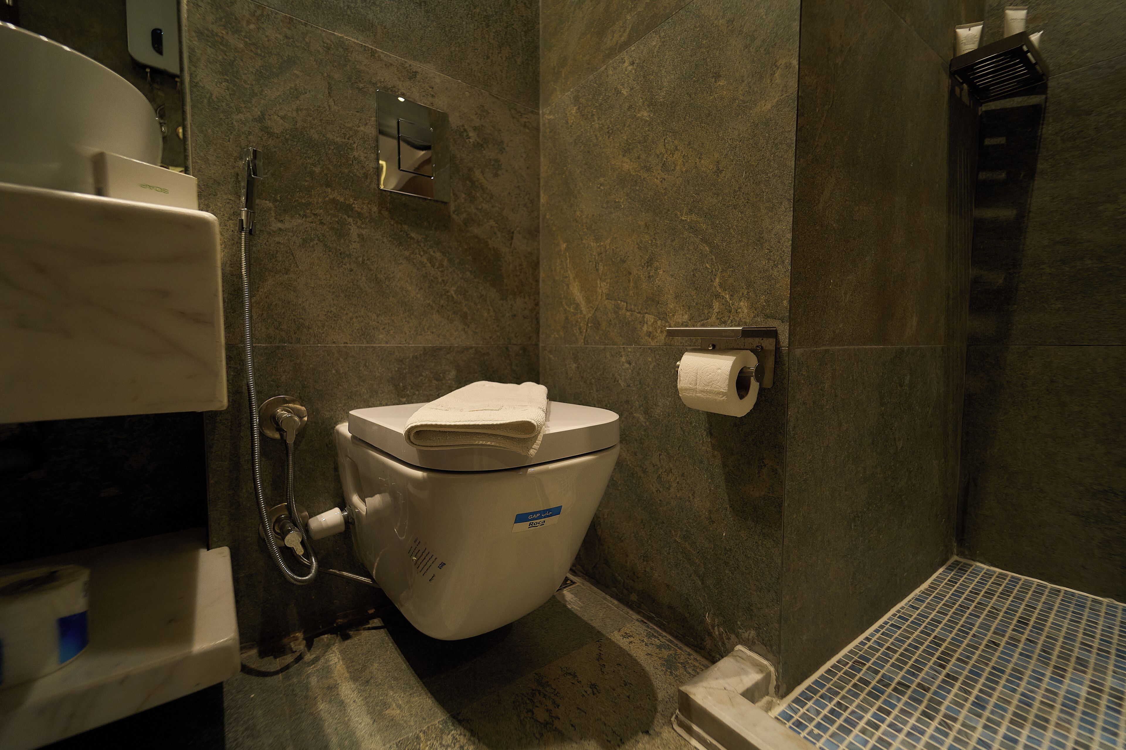 Ein Badezimmer mit Toilette, Dusche und Handtuchhalter.