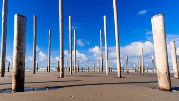 A beach with numerous vertical wooden posts. - Chalet 005 (4 persons) (Petten)